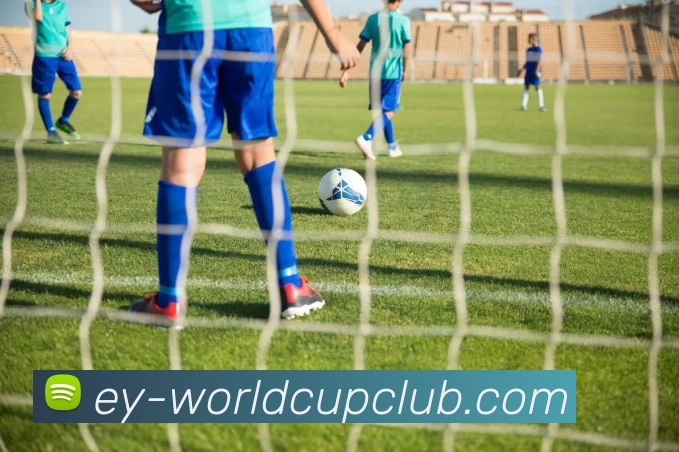 世界杯官方投注平台生态图